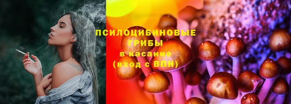 спиды Бронницы