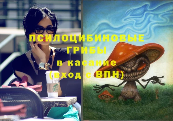 спиды Бронницы