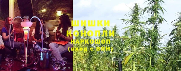 спиды Бронницы
