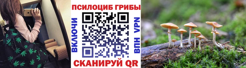 Псилоцибиновые грибы ЛСД  гидра маркетплейс  Данилов 